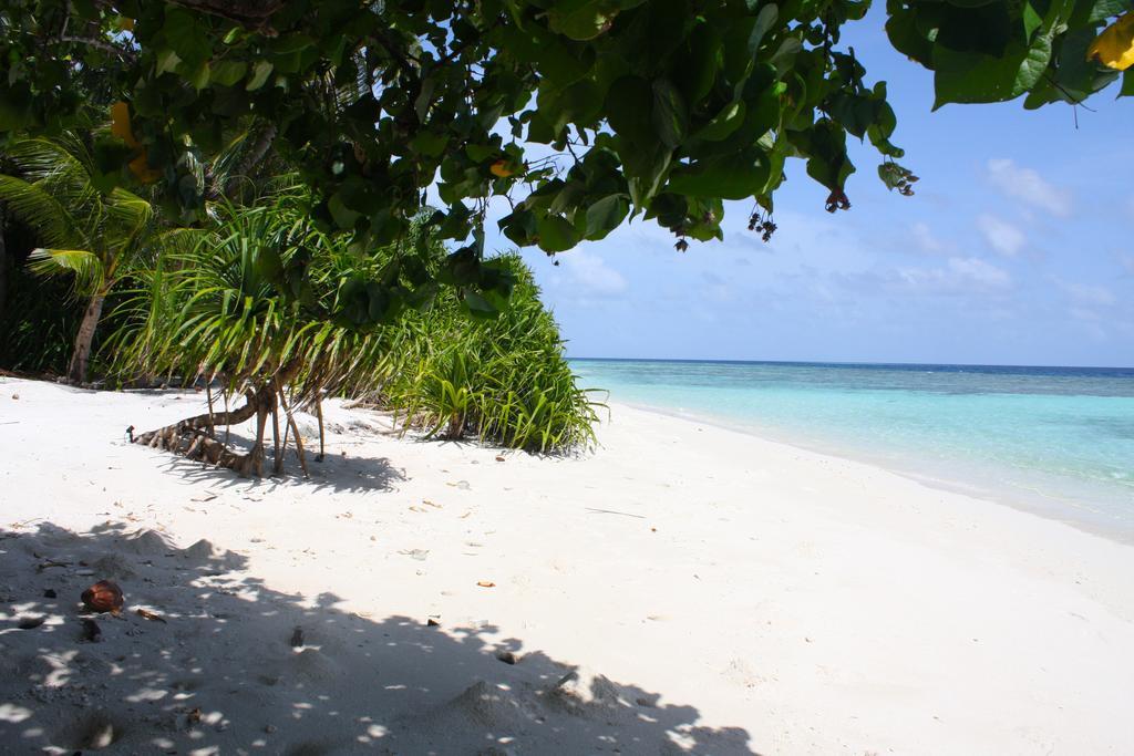 Plumeria Maldives Thinadhoo  Luaran gambar